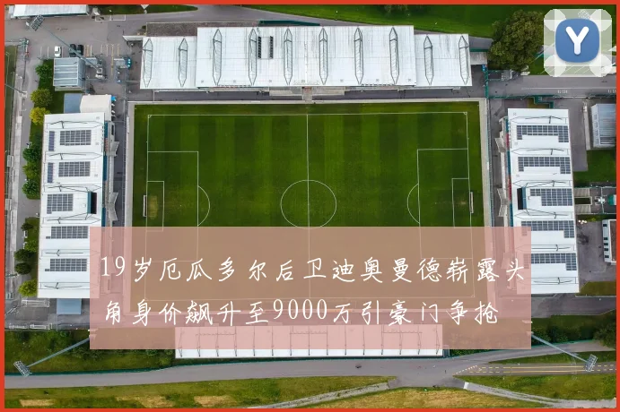19岁厄瓜多尔后卫迪奥曼德崭露头角身价飙升至9000万引豪门争抢